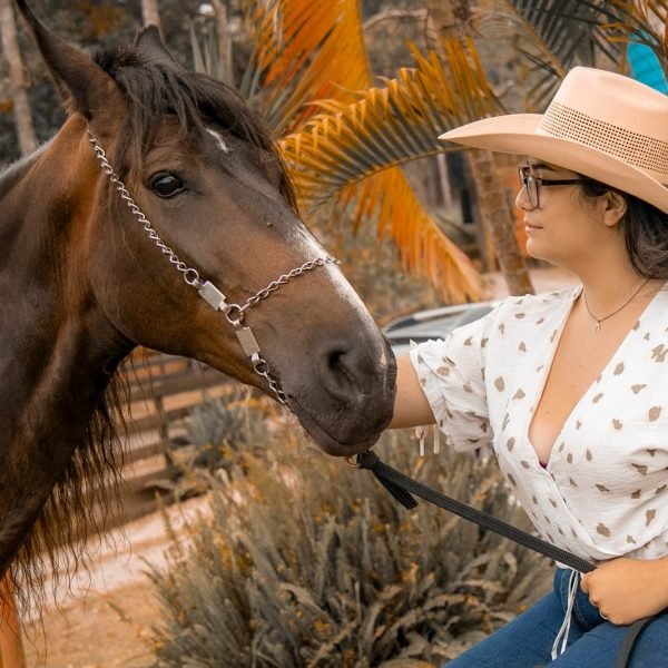 IMGS0009.jpg IMGS0009.jpg