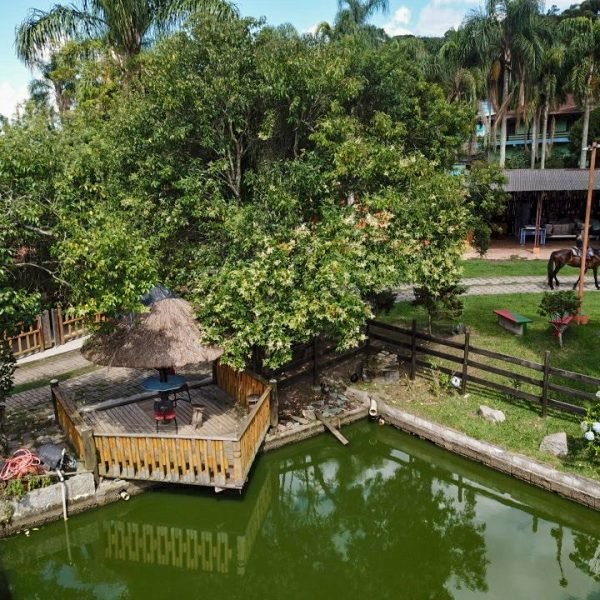 IMG_4975.jpg IMG_4975.jpg