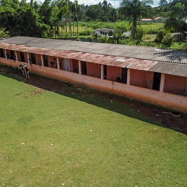 IMG_4976.jpg IMG_4976.jpg